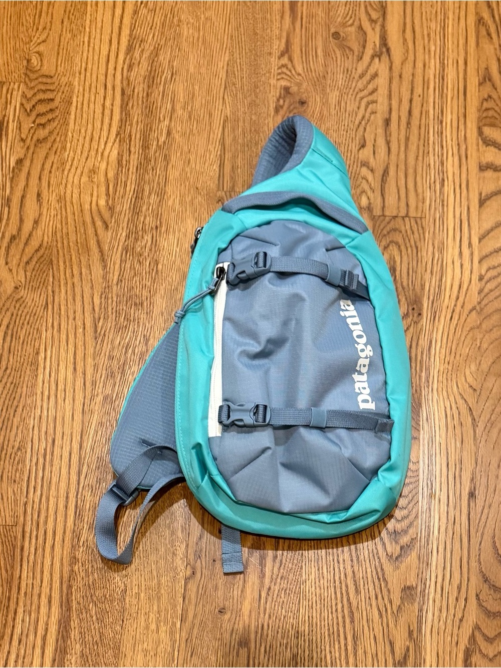 Patagonia Teal and Gray Sling Belt Bag